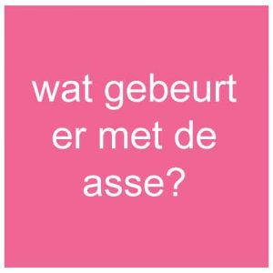 wat gebeurt er met de asse